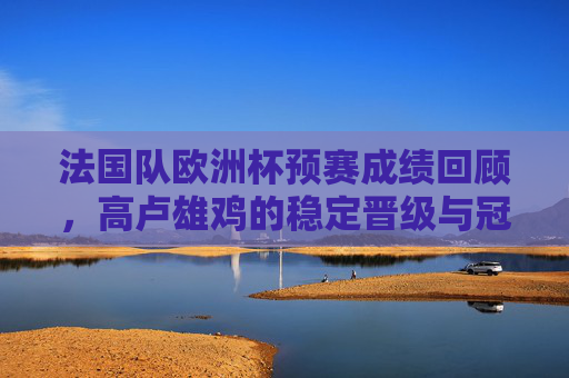 法国队欧洲杯预赛成绩回顾,高卢雄鸡的稳定晋级与冠军底蕴,法国队欧洲杯预赛回顾,稳定晋级彰显冠军底蕴