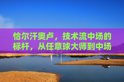 恰尔汗奥卢，技术流中场的标杆，从任意球大师到中场节拍器的进化史，恰尔汗奥卢，技术流中场标杆的进化——从任意球大师到中场节拍器