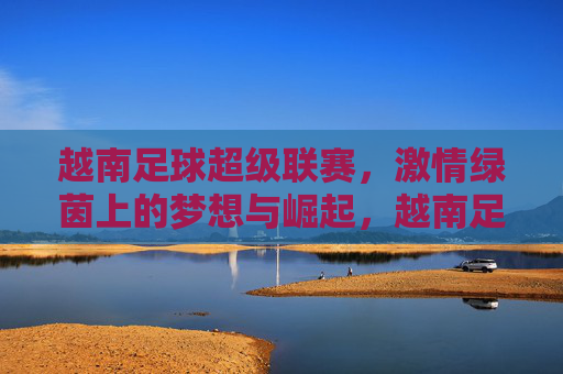 越南足球超级联赛，激情绿茵上的梦想与崛起，越南足球超级联赛，激情绿茵的梦想与崛起