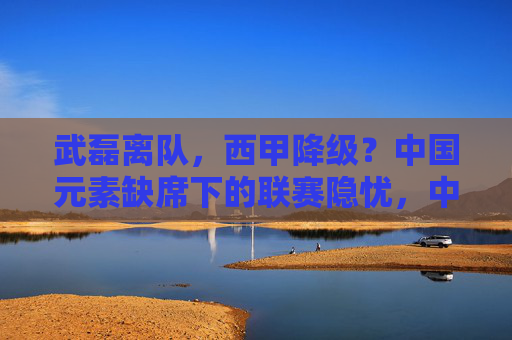 武磊离队,西甲降级?中国元素缺席下的联赛隐忧,中国元素缺席,西甲降级隐忧