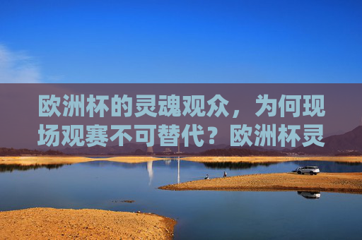 欧洲杯的灵魂观众,为何现场观赛不可替代?欧洲杯灵魂观众,现场观赛为何不可替代?