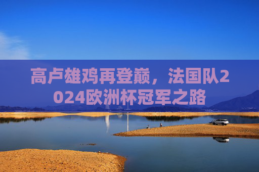 高卢雄鸡再登巅,法国队2024欧洲杯冠军之路