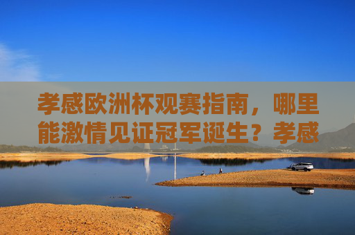 孝感欧洲杯观赛指南,哪里能激情见证冠军诞生?孝感欧洲杯观赛指南,哪里能激情见证冠军诞生?