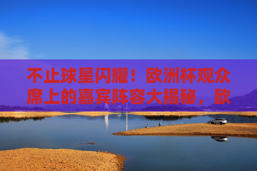 不止球星闪耀!欧洲杯观众席上的嘉宾阵容大揭秘,欧洲杯观众席嘉宾阵容大揭秘,不止球星闪耀