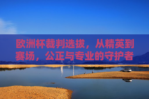 欧洲杯裁判选拔，从精英到赛场，公正与专业的守护者，欧洲杯裁判选拔，公正与专业的赛场守护者