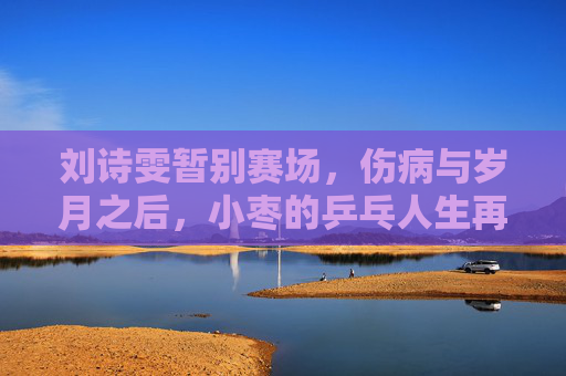 刘诗雯暂别赛场,伤病与岁月之后,小枣的乒乓人生再启程,刘诗雯,伤病岁月后,乒乓人生再启程