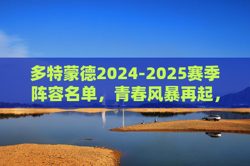 多特蒙德2024-2025赛季阵容名单,青春风暴再起,黄黑军团剑指德甲巅峰,多特蒙德2024-25赛季,青春风暴再起,黄黑军团剑指德甲巅峰