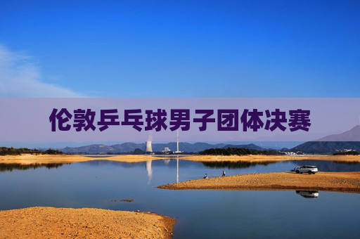 伦敦乒乓球男子团体决赛