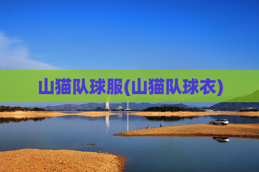 山猫队球服(山猫队球衣)