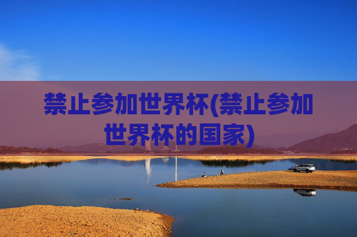 禁止参加世界杯(禁止参加世界杯的国家)