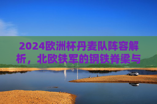 2024欧洲杯丹麦队阵容解析，北欧铁军的钢铁脊梁与战术核心，2024欧洲杯丹麦队阵容解析，北欧铁军的钢铁脊梁与战术核心