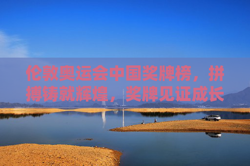 伦敦奥运会中国奖牌榜，拼搏铸就辉煌，奖牌见证成长，伦敦奥运中国奖牌榜，拼搏铸辉煌，成长见证
