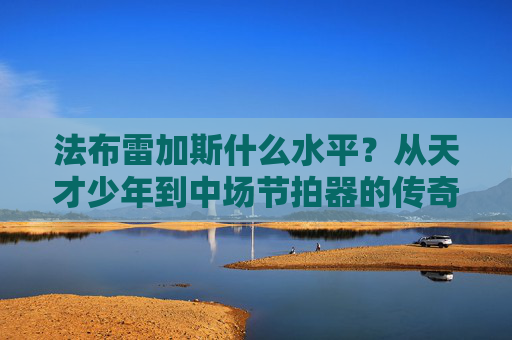 法布雷加斯什么水平?从天才少年到中场节拍器的传奇之路,法布雷加斯,从天才少年到中场节拍器的传奇之路