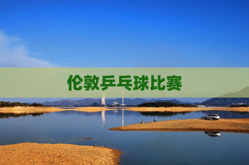 伦敦乒乓球比赛