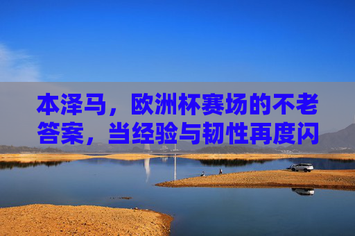 本泽马，欧洲杯赛场的不老答案，当经验与韧性再度闪耀，本泽马欧洲杯不老答案，经验韧性再度闪耀