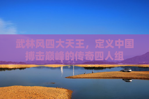 武林风四大天王,定义中国搏击巅峰的传奇四人组