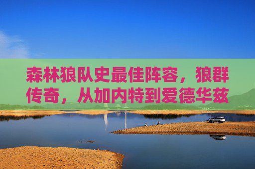 森林狼队史最佳阵容,狼群传奇,从加内特到爱德华兹的巅峰拼图,森林狼队史最佳阵容,从加内特到爱德华兹的狼群巅峰拼图