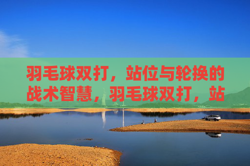 羽毛球双打,站位与轮换的战术智慧,羽毛球双打,站位轮换的战术智慧
