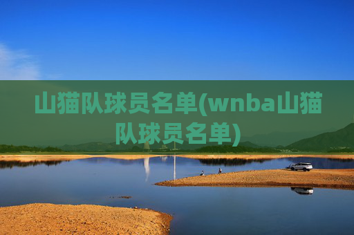 山猫队球员名单(wnba山猫队球员名单)