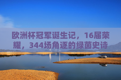欧洲杯冠军诞生记，16届荣耀，344场角逐的绿茵史诗，16届荣耀，344场角逐，欧洲杯冠军的绿茵史诗