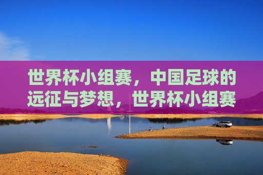世界杯小组赛，中国足球的远征与梦想，世界杯小组赛，中国足球远征之梦