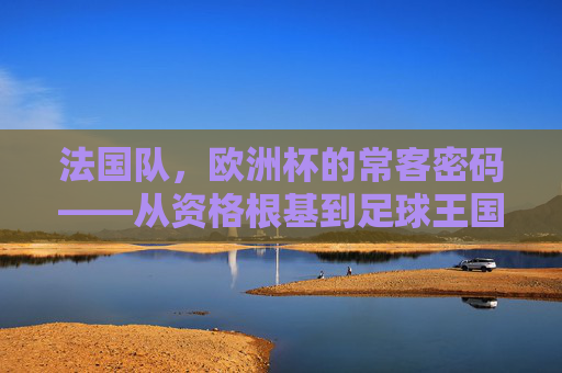 法国队，欧洲杯的常客密码——从资格根基到足球王国的底蕴传承，法国队欧洲杯常客密码，从资格根基到足球王国底蕴传承