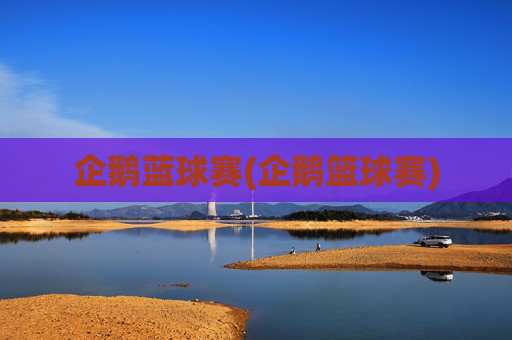 企鹅蓝球赛(企鹅篮球赛)