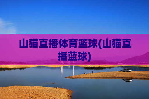 山猫直播体育篮球(山猫直播蓝球)