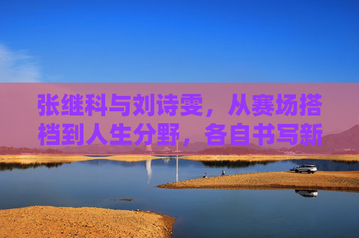 张继科与刘诗雯,从赛场搭档到人生分野,各自书写新篇章,张继科刘诗雯,从赛场搭档到人生分野,各自书写新篇章