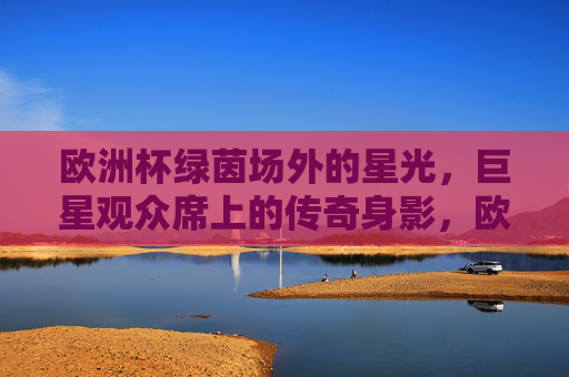 欧洲杯绿茵场外的星光,巨星观众席上的传奇身影,欧洲杯绿茵场外星光,巨星观众席的传奇身影