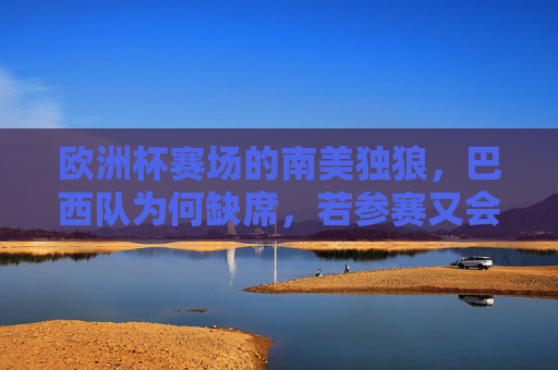欧洲杯赛场的南美独狼,巴西队为何缺席,若参赛又会怎样?南美独狼缺席欧洲杯,巴西为何未战,若参赛会怎样?