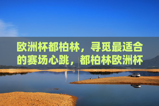 欧洲杯都柏林，寻觅最适合的赛场心跳，都柏林欧洲杯，觅赛场心跳