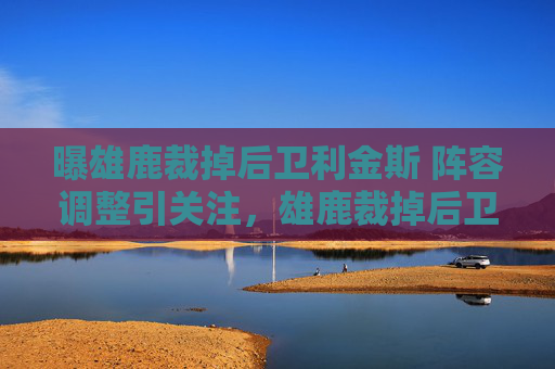 曝雄鹿裁掉后卫利金斯 阵容调整引关注,雄鹿裁掉后卫利金斯,阵容调整引关注