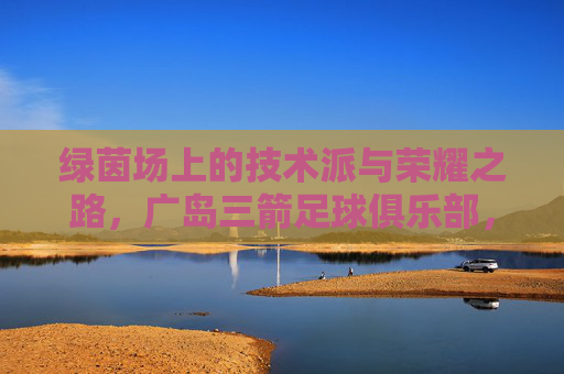 绿茵场上的技术派与荣耀之路,广岛三箭足球俱乐部,广岛三箭,绿茵场上的技术派与荣耀征途