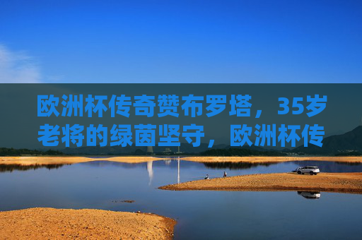 欧洲杯传奇赞布罗塔，35岁老将的绿茵坚守，欧洲杯传奇赞布罗塔，35岁老将的绿茵坚守