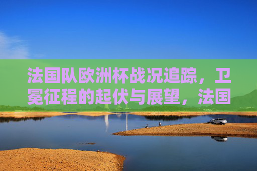 法国队欧洲杯战况追踪，卫冕征程的起伏与展望，法国队欧洲杯卫冕征程，战况起伏与展望