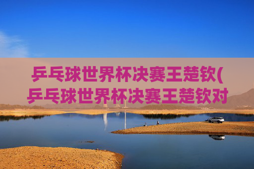 乒乓球世界杯决赛王楚钦(乒乓球世界杯决赛王楚钦对松岛辉空最新消息)