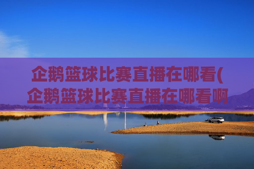 企鹅篮球比赛直播在哪看(企鹅篮球比赛直播在哪看啊)