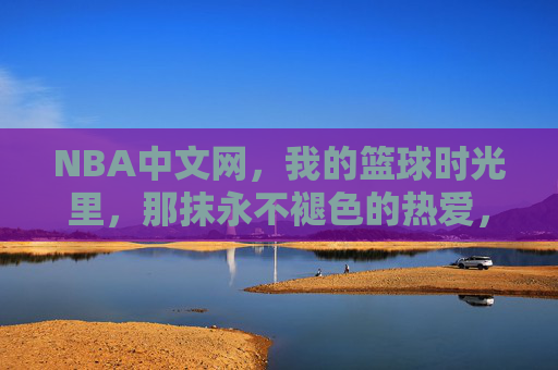 NBA中文网,我的篮球时光里,那抹永不褪色的热爱,NBA中文网,篮球时光里永不褪色的热爱