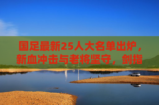 国足最新25人大名单出炉，新血冲击与老将坚守，剑指世预赛关键战役，国足25人名单，新血冲击老将坚守，剑指世预赛关键战