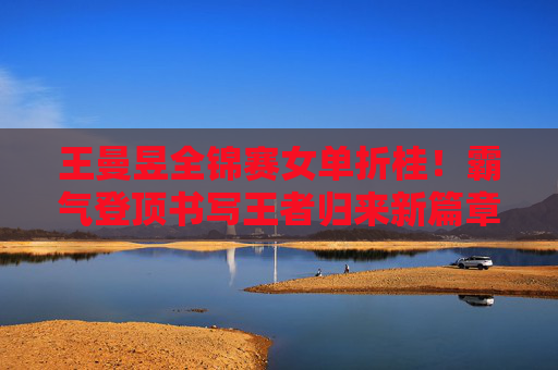 王曼昱全锦赛女单折桂！霸气登顶书写王者归来新篇章，王曼昱全锦赛女单夺冠，霸气登顶书写王者归来新篇