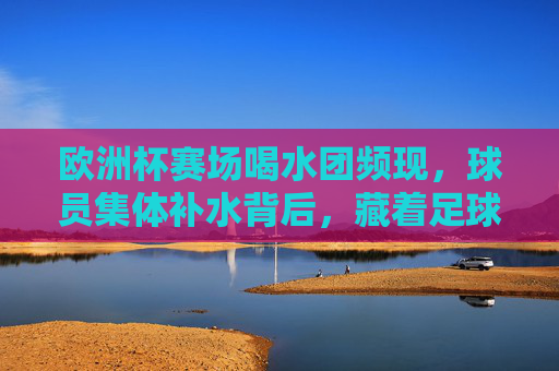 欧洲杯赛场喝水团频现,球员集体补水背后,藏着足球科学的密码,欧洲杯喝水团背后,足球科学的补水密码