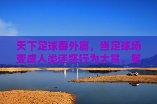 天下足球番外篇,当足球场变成人类迷惑行为大赏,笑到拍桌才是真热爱,足球场人类迷惑行为大赏,笑到拍桌才是真热爱