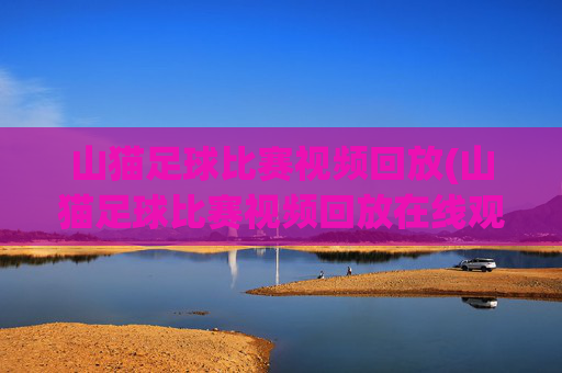 山猫足球比赛视频回放(山猫足球比赛视频回放在线观看)
