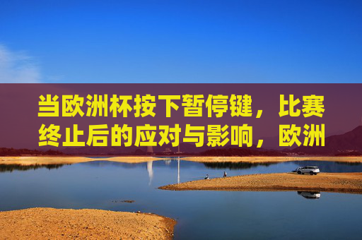 当欧洲杯按下暂停键,比赛终止后的应对与影响,欧洲杯按下暂停键,应对与影响