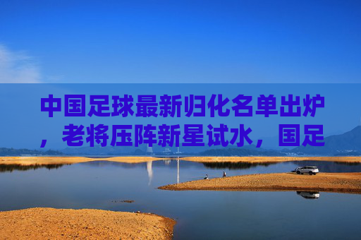 中国足球最新归化名单出炉,老将压阵新星试水,国足补强之路聚焦实战与未来,中国足球最新归化名单,老将压阵新星试水,补强兼顾实战与未来