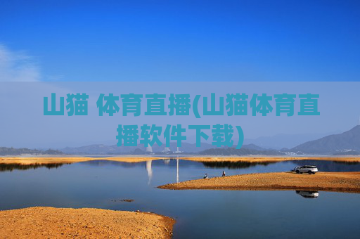 山猫 体育直播(山猫体育直播软件下载)