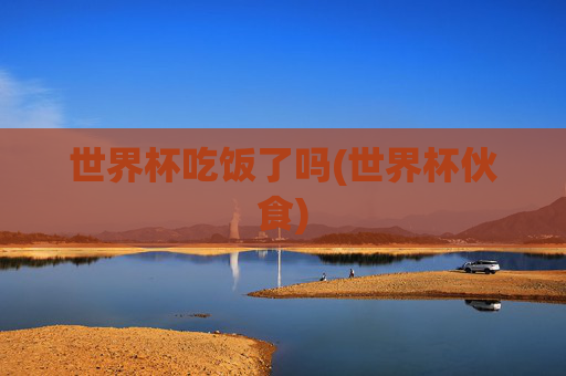 世界杯吃饭了吗(世界杯伙食)