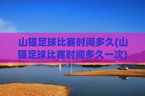 山猫足球比赛时间多久(山猫足球比赛时间多久一次)