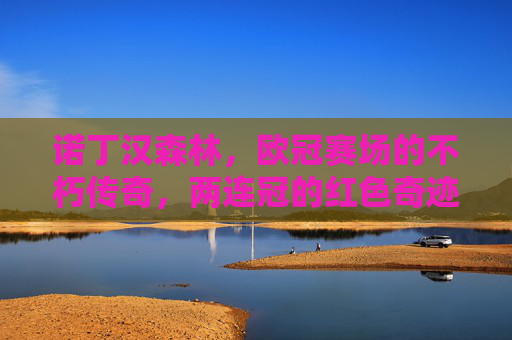 诺丁汉森林,欧冠赛场的不朽传奇,两连冠的红色奇迹,诺丁汉森林,欧冠两连冠的红色不朽传奇